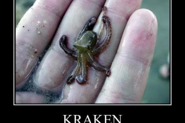 Kraken ссылка kraken link24 info