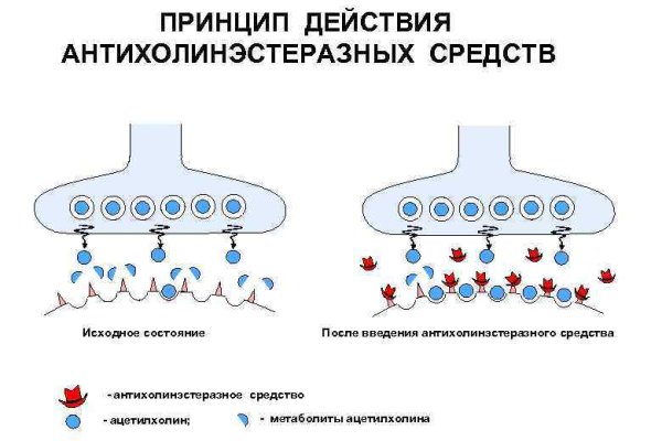 Почему не заходит на кракен